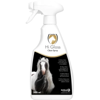 hi-gloss-clean-spray-500ml